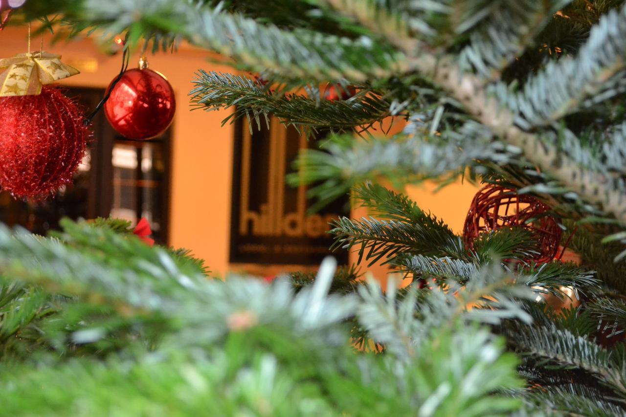 Hotel Hillden Lodge&Restaurant Drumu Carului Kültér fotó