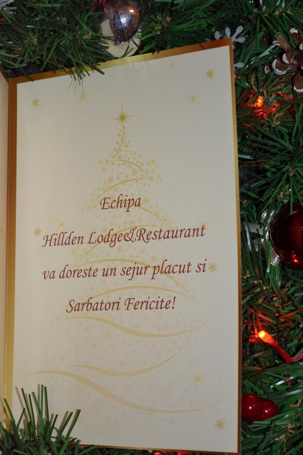 Hotel Hillden Lodge&Restaurant Drumu Carului Kültér fotó