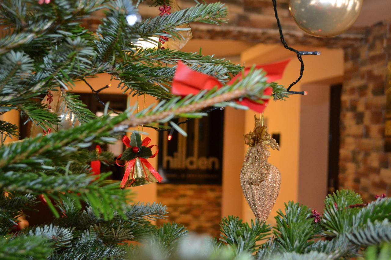 Hotel Hillden Lodge&Restaurant Drumu Carului Kültér fotó
